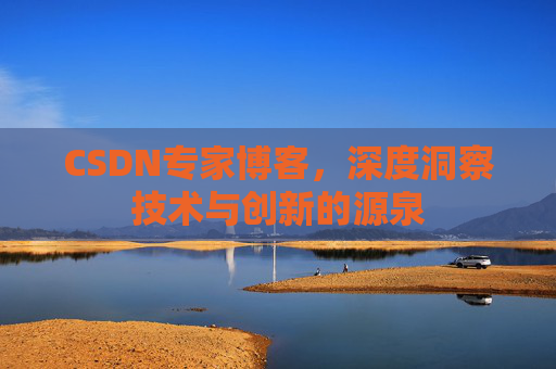 CSDN专家博客，深度洞察技术与创新的源泉